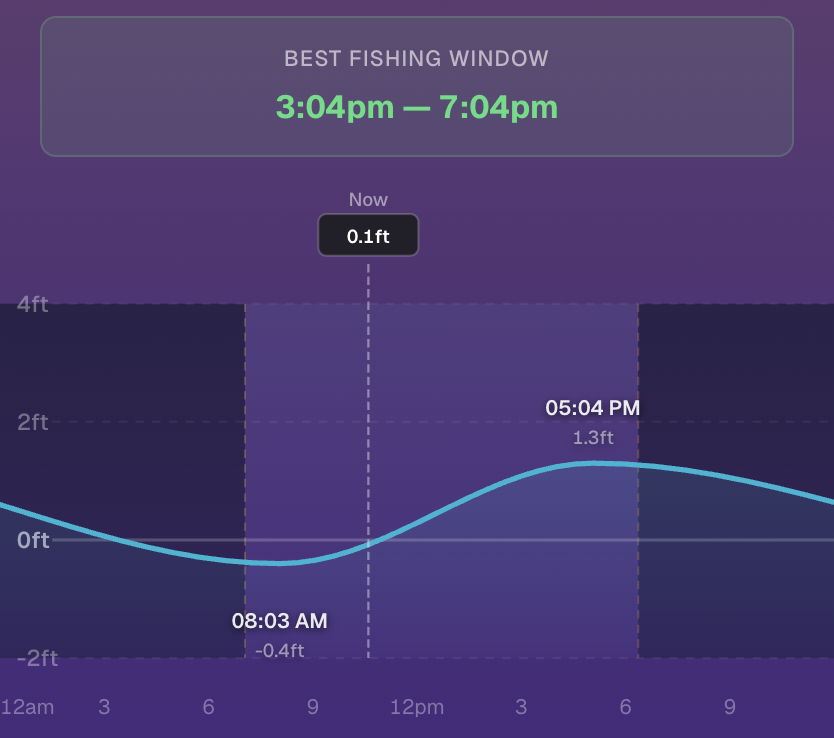 Tide chart showing best fishing window