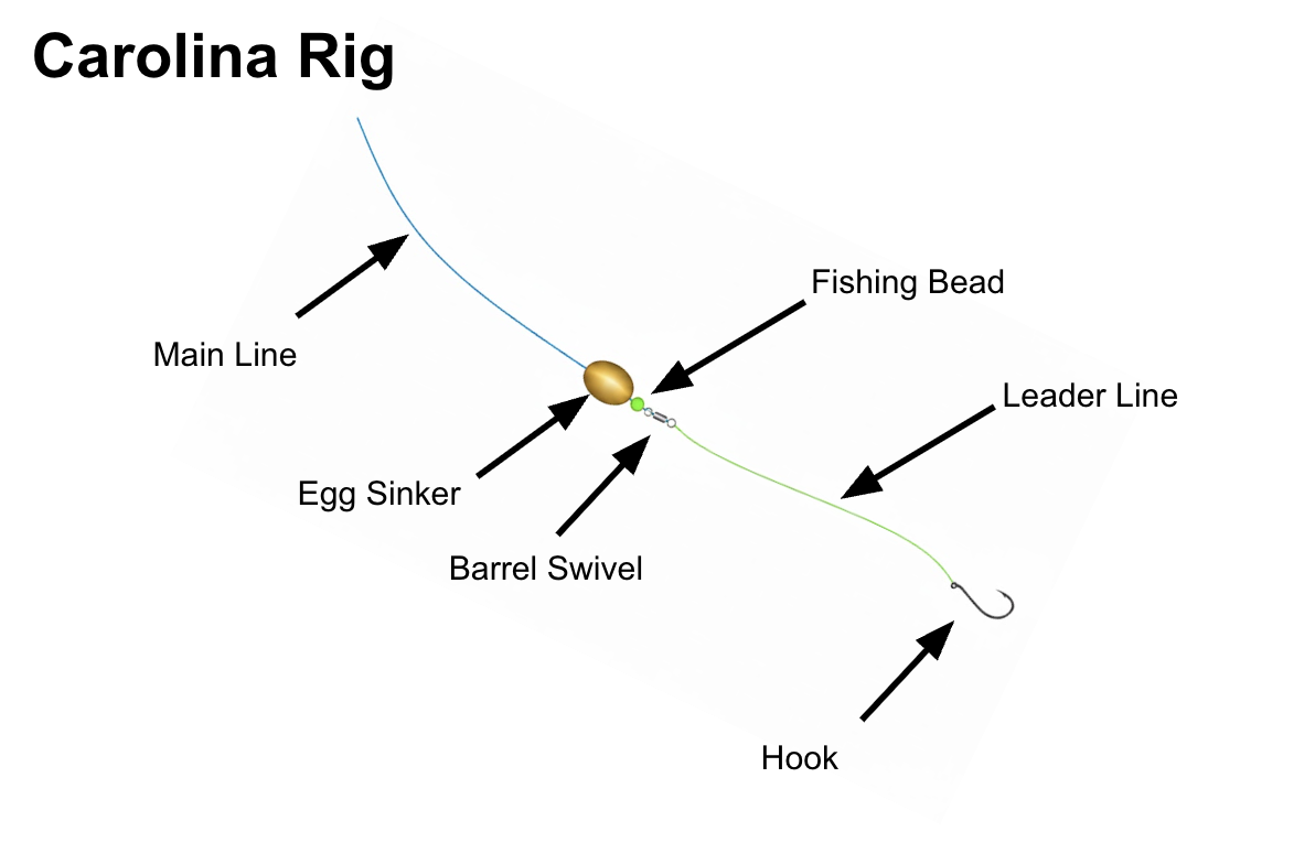 Carolina Rig diagram showing weight, bead, swivel, leader, and hook setup