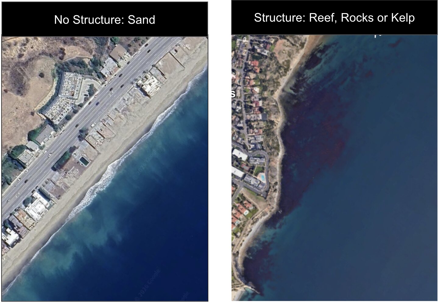 Google Earth satellite view showing reef structure visible as dark patches in the water