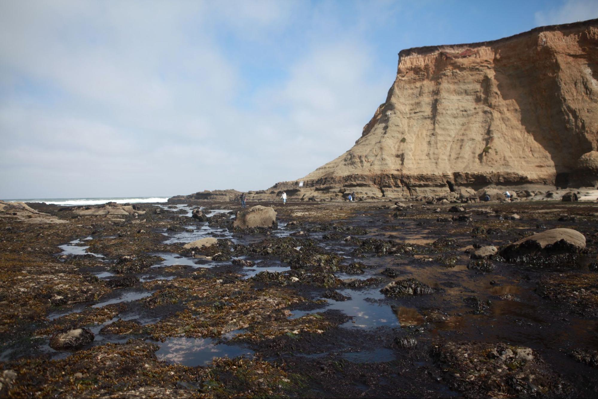 Exposed rocky reef visible at low tide on a Southern California beach