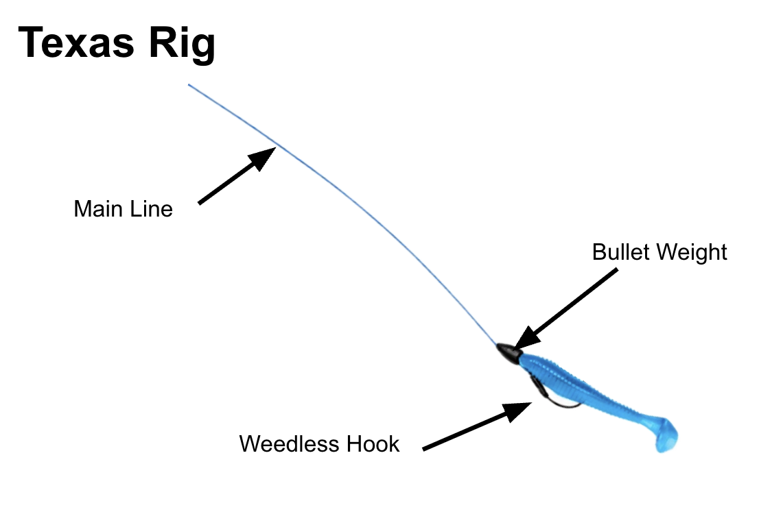 Texas Rig weedless setup diagram